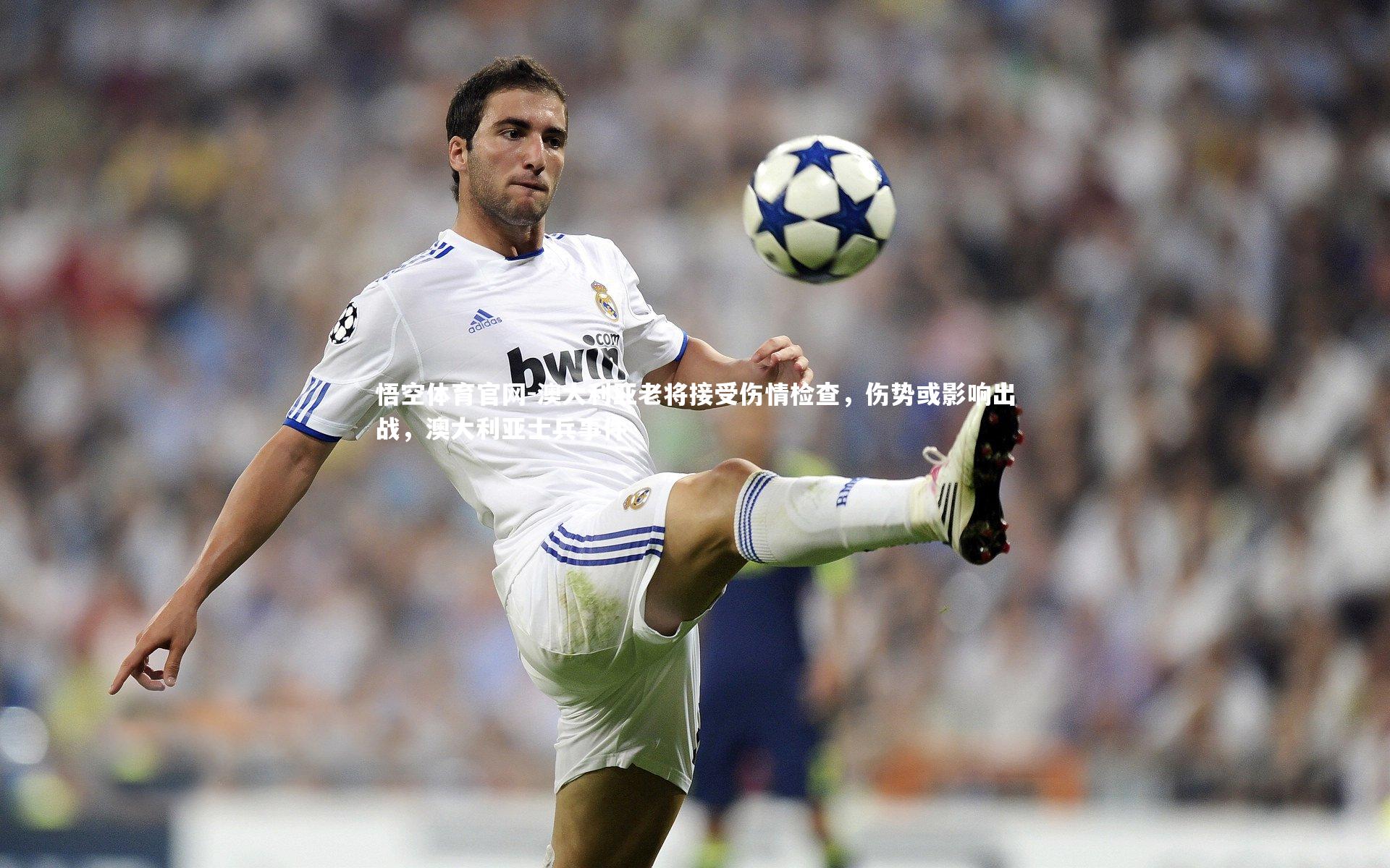 澳大利亚老将接受伤情检查，伤势或影响出战，澳大利亚士兵事件