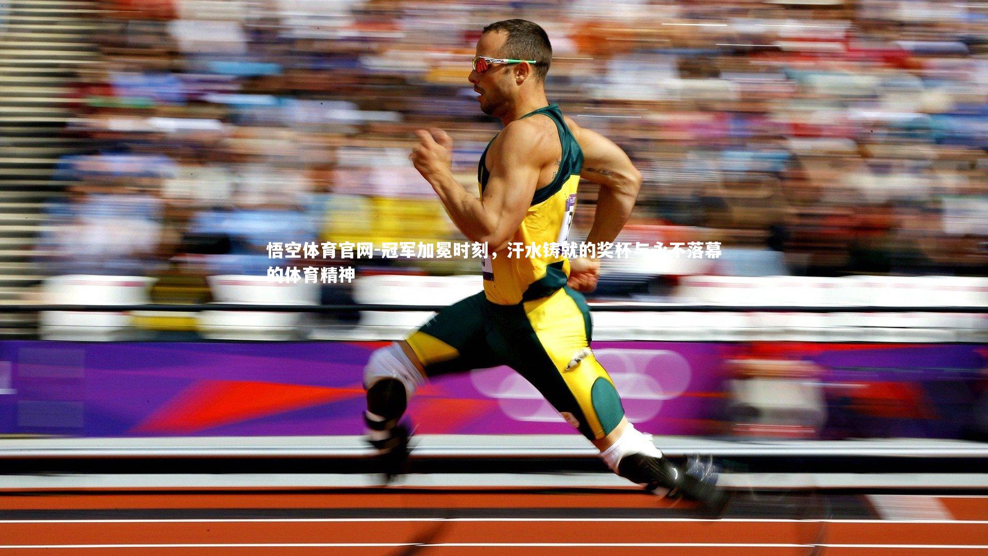 冠军加冕时刻，汗水铸就的奖杯与永不落幕的体育精神